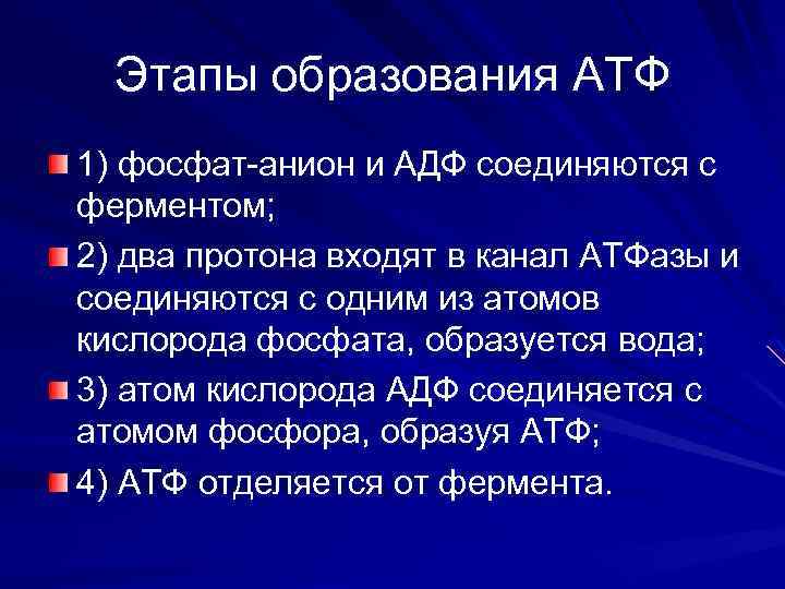 Этапы образования АТФ 1) фосфат-анион и АДФ соединяются с ферментом; 2) два протона входят