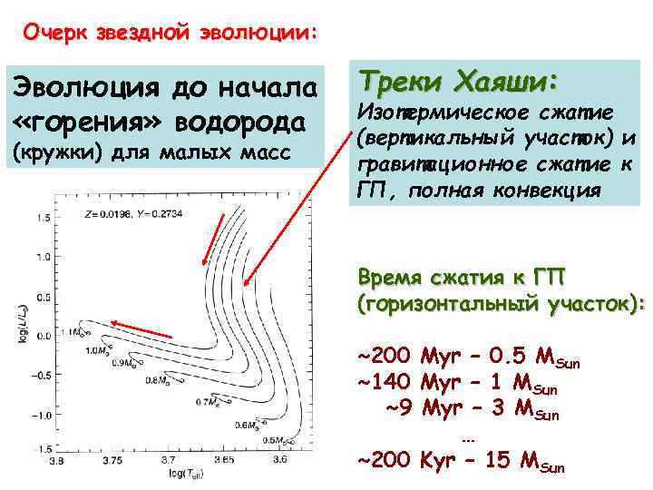 Очерк звездной эволюции: Эволюция до начала «горения» водорода (кружки) для малых масс Треки Хаяши: