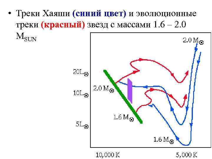  • Треки Хаяши (синий цвет) и эволюционные треки (красный) звезд с массами 1.