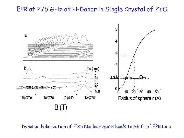 EPR at 275 GHz on H-Donor in Single Crystal of Zn. O Dynamic Polarization