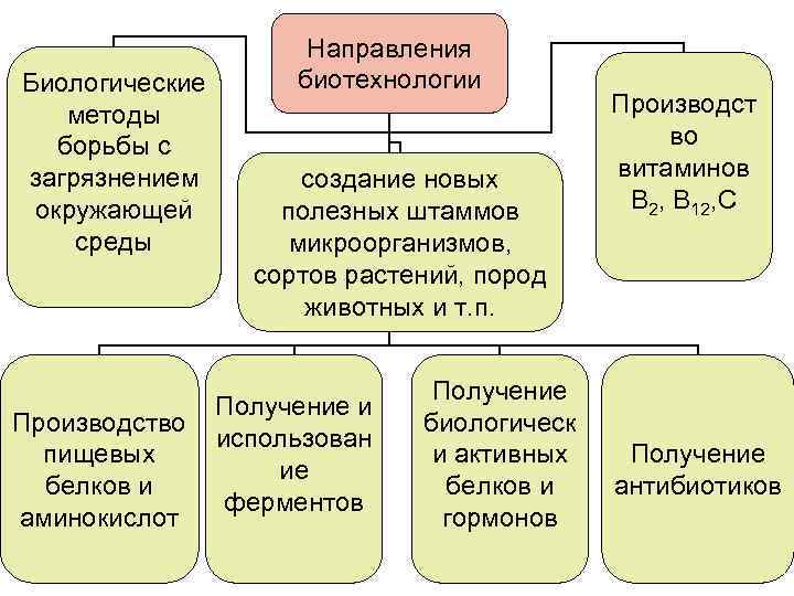 Биологические методы борьбы с загрязнением окружающей среды Направления биотехнологии создание новых полезных штаммов микроорганизмов,