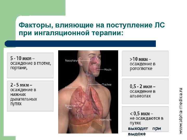 Факторы, влияющие на поступление ЛС при ингаляционной терапии: выходят при выдохе 