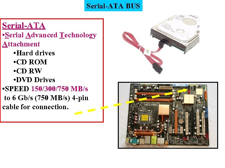 Serial-ATA BUS Serial-ATA • Serial Advanced Technology Attachment • Hard drives • CD ROM