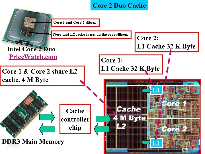 Core 2 Duo Cache Core 1 and Core 2 silicon Note that L 2