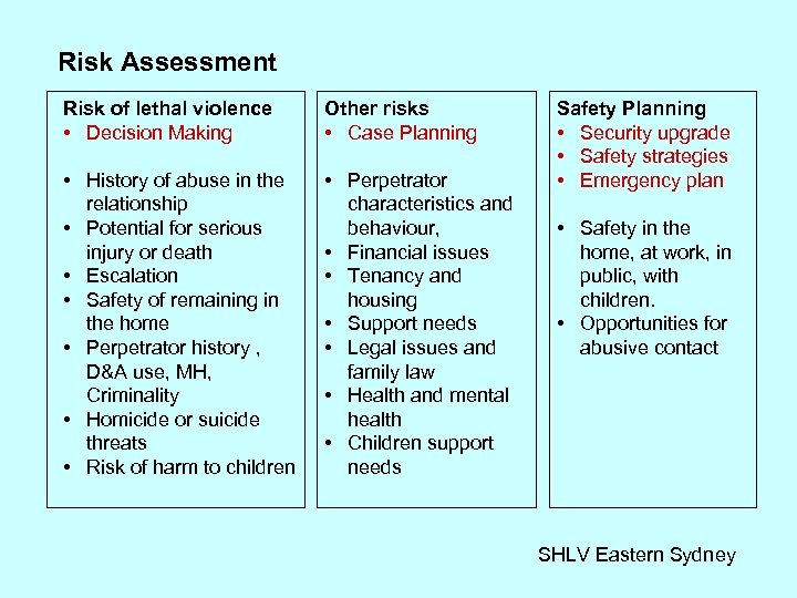 Risk Assessment Risk of lethal violence • Decision Making Other risks • Case Planning