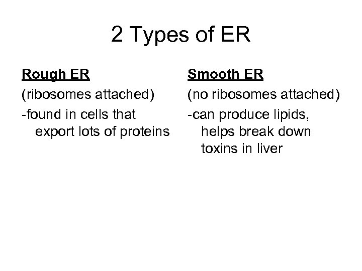 2 Types of ER Rough ER (ribosomes attached) -found in cells that export lots