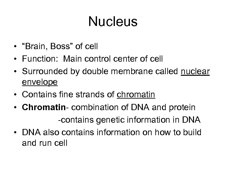 Nucleus • “Brain, Boss” of cell • Function: Main control center of cell •