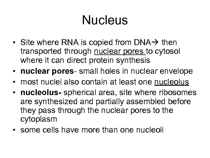 Nucleus • Site where RNA is copied from DNA then transported through nuclear pores
