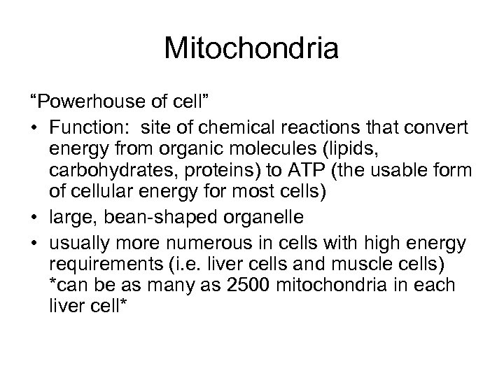 Mitochondria “Powerhouse of cell” • Function: site of chemical reactions that convert energy from