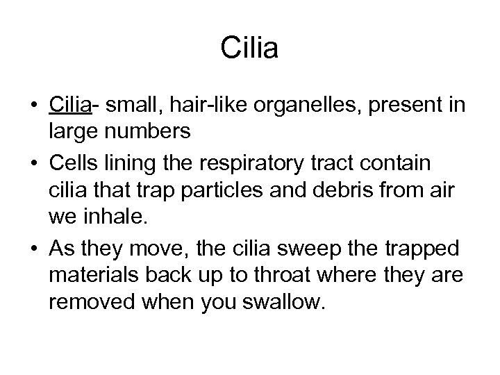 Cilia • Cilia- small, hair-like organelles, present in large numbers • Cells lining the