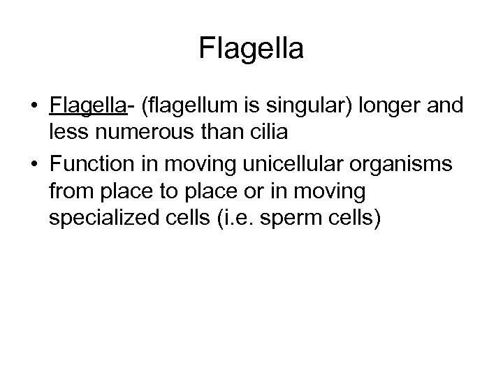 Flagella • Flagella- (flagellum is singular) longer and less numerous than cilia • Function