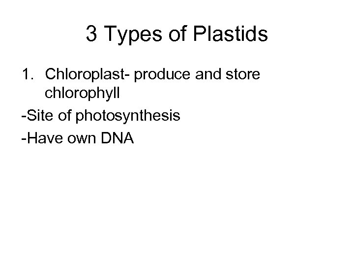 3 Types of Plastids 1. Chloroplast- produce and store chlorophyll -Site of photosynthesis -Have