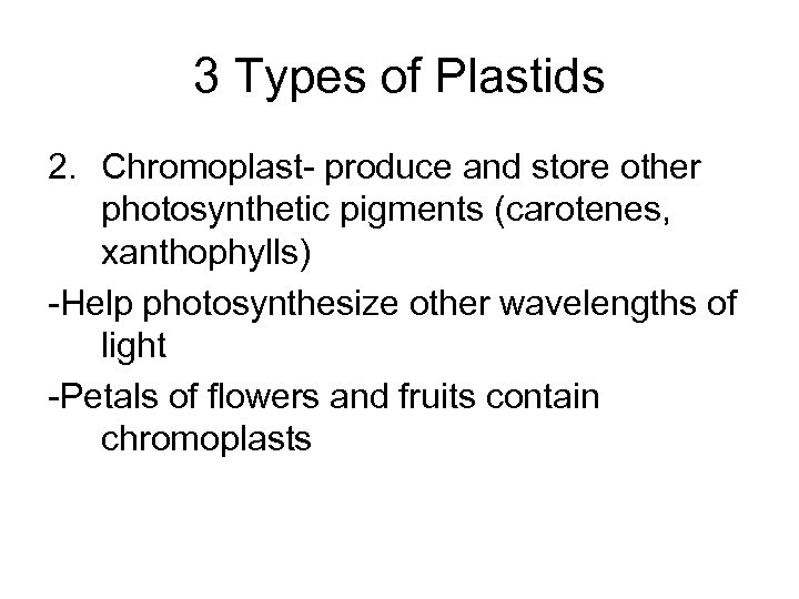 3 Types of Plastids 2. Chromoplast- produce and store other photosynthetic pigments (carotenes, xanthophylls)