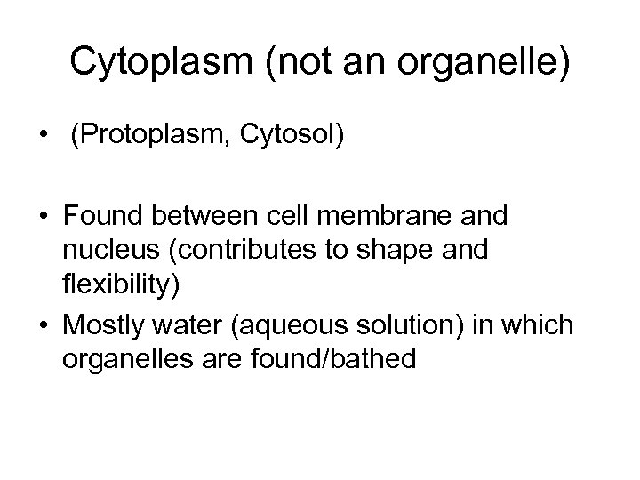Cytoplasm (not an organelle) • (Protoplasm, Cytosol) • Found between cell membrane and nucleus