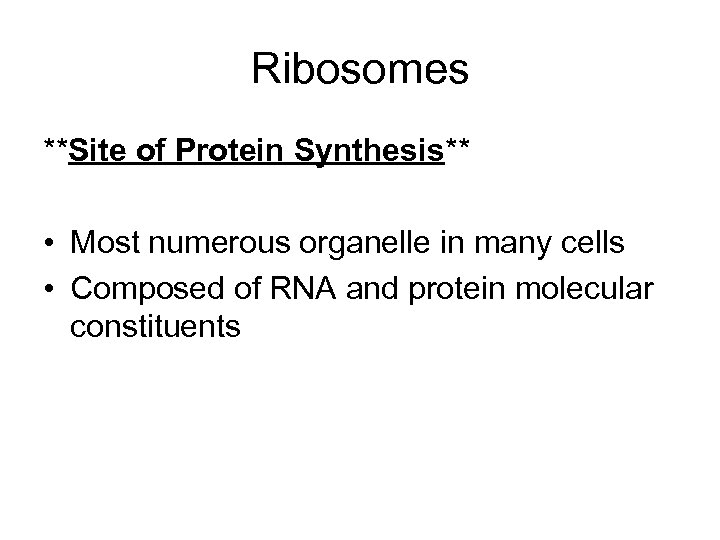 Ribosomes **Site of Protein Synthesis** • Most numerous organelle in many cells • Composed
