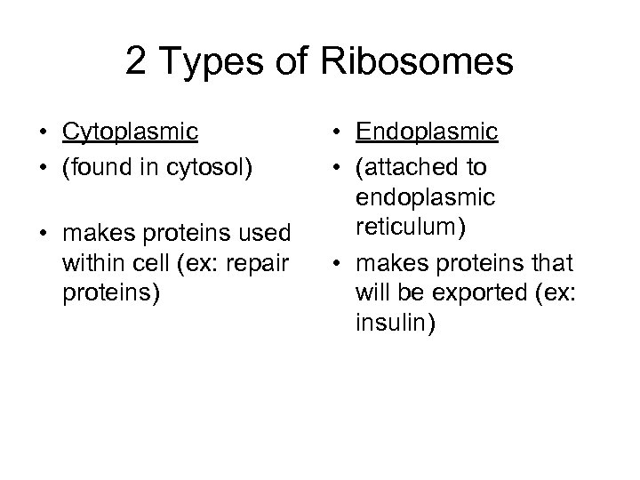 2 Types of Ribosomes • Cytoplasmic • (found in cytosol) • makes proteins used