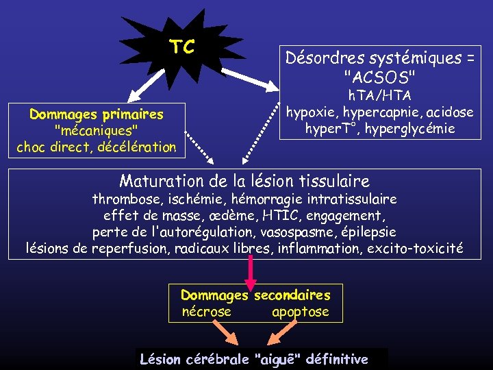 TC Dommages primaires 