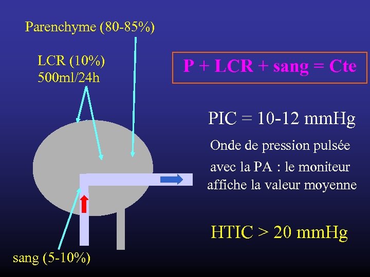 Parenchyme (80 -85%) LCR (10%) 500 ml/24 h P + LCR + sang =