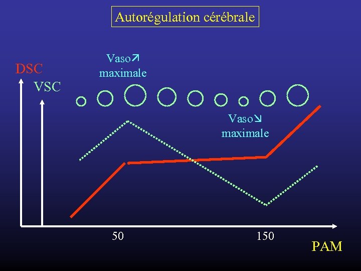 Autorégulation cérébrale DSC Vaso maximale 50 150 PAM 