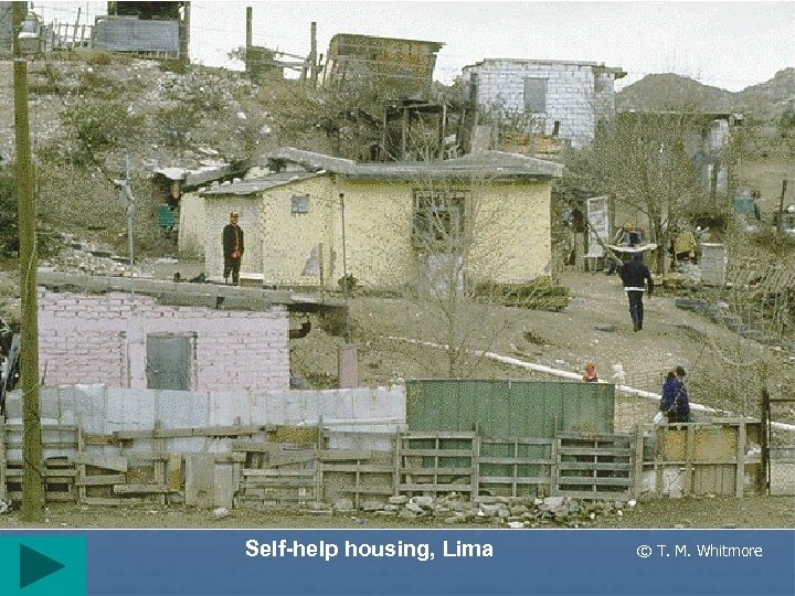 Self-help housing, Lima © T. M. Whitmore 