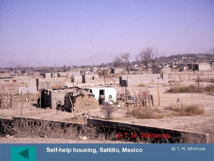 Self-help housing, Saltillo, Mexico © T. M. Whitmore 