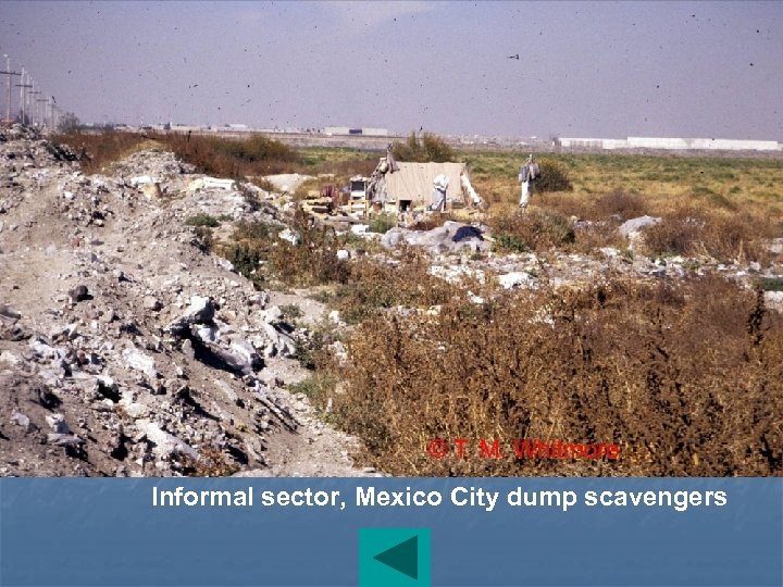 Informal sector, Mexico City dump scavengers 