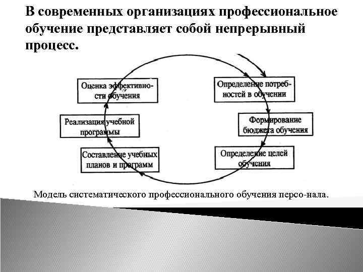 Принципы управления трудовыми ресурсами