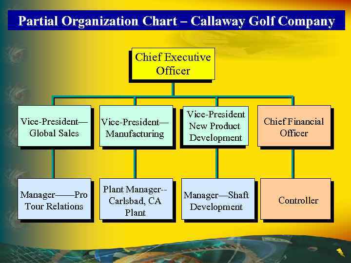 Partial Organization Chart – Callaway Golf Company Chief Executive Officer Vice-President— Global Sales Vice-President—