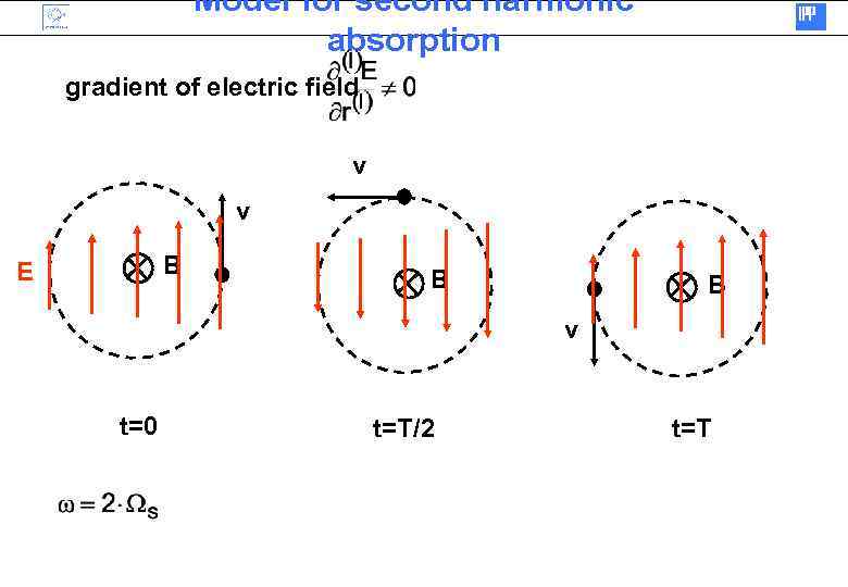 Model for second harmonic absorption gradient of electric field v v B E B