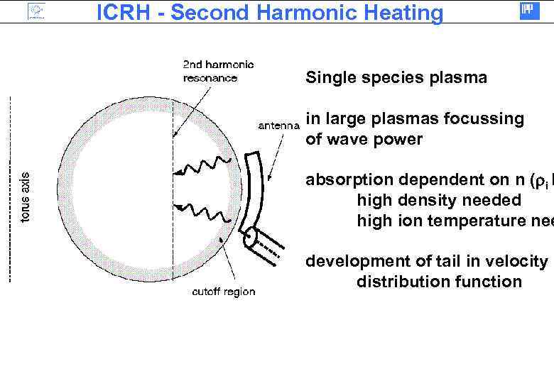 ICRH - Second Harmonic Heating Single species plasma in large plasmas focussing of wave