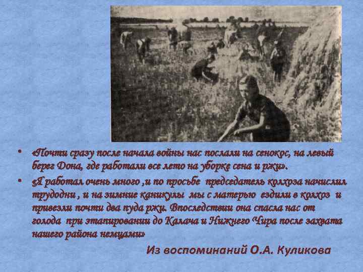  • «Почти сразу после начала войны нас послали на сенокос, на левый берег