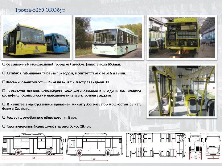Тролза-5250 ЭКОбус q Современный низкозольный городской автобус (высота пола 360 мм). q Автобус с