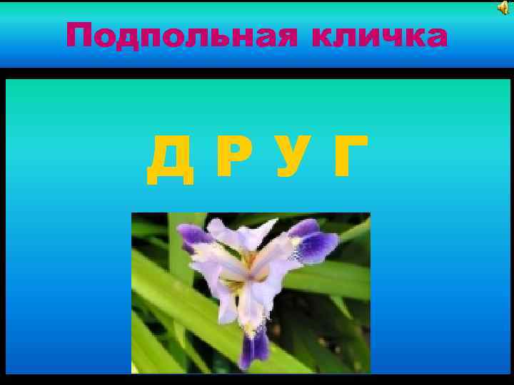 Подпольная кличка ДРУГ 