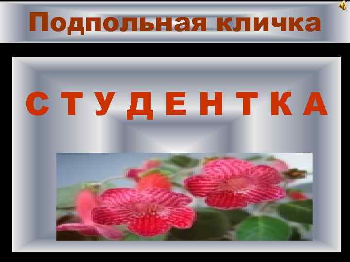 Подпольная кличка СТУДЕНТКА 