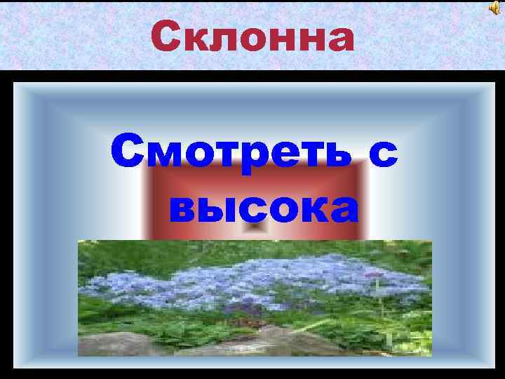 Склонна Смотреть с высока 