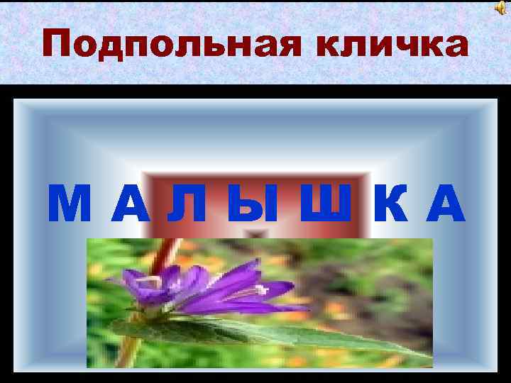 Подпольная кличка МАЛЫШКА 