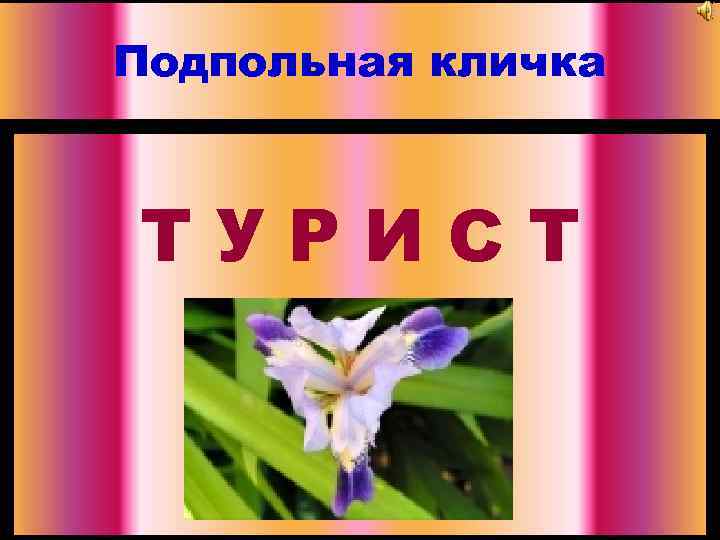 Подпольная кличка ТУРИСТ 