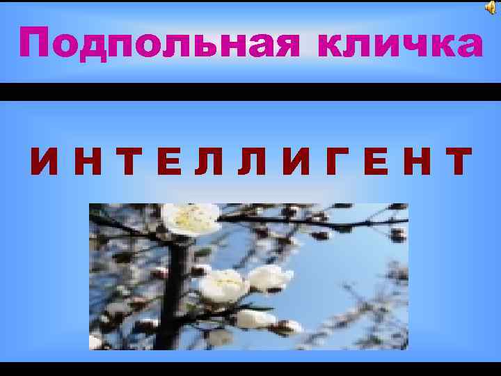 Подпольная кличка ИНТЕЛЛИГЕНТ 