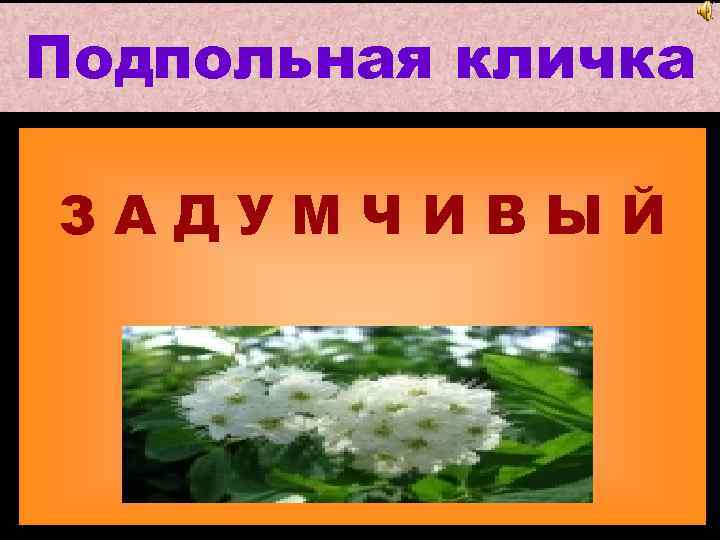 Подпольная кличка ЗАДУМЧИВЫЙ 