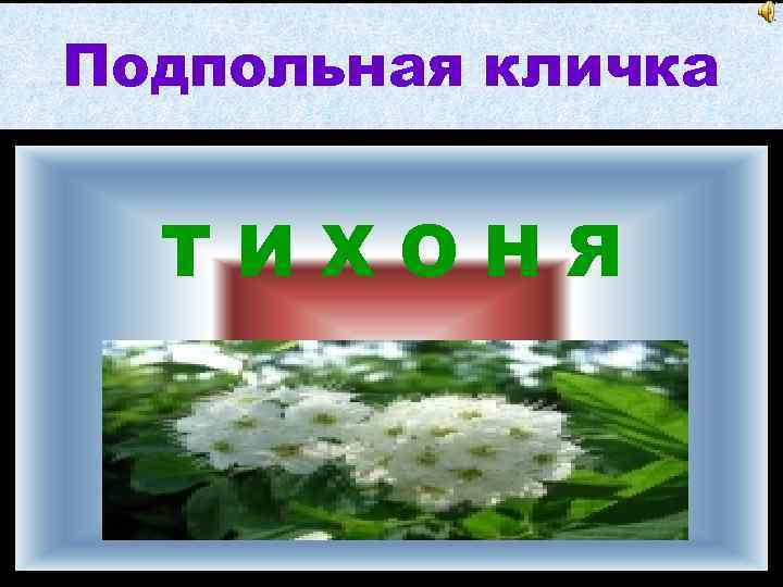 Подпольная кличка ТИХОНЯ 