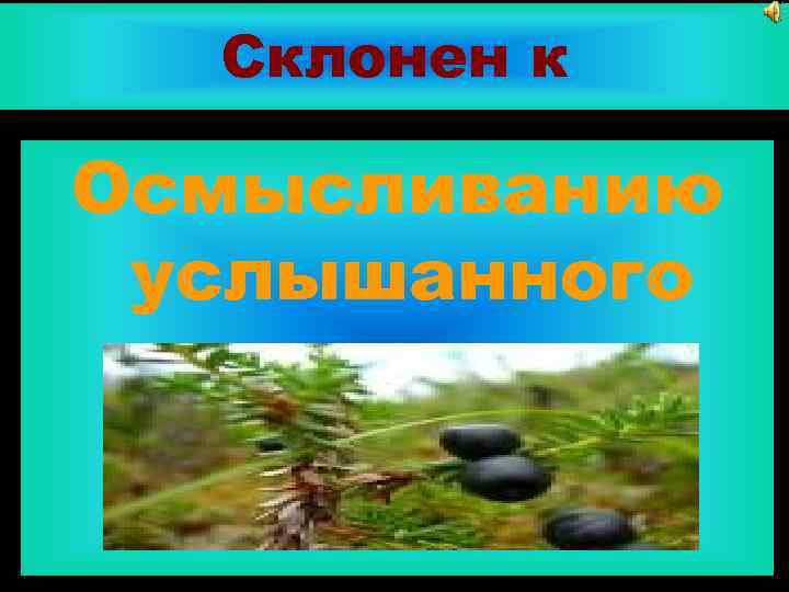 Склонен к Осмысливанию услышанного 