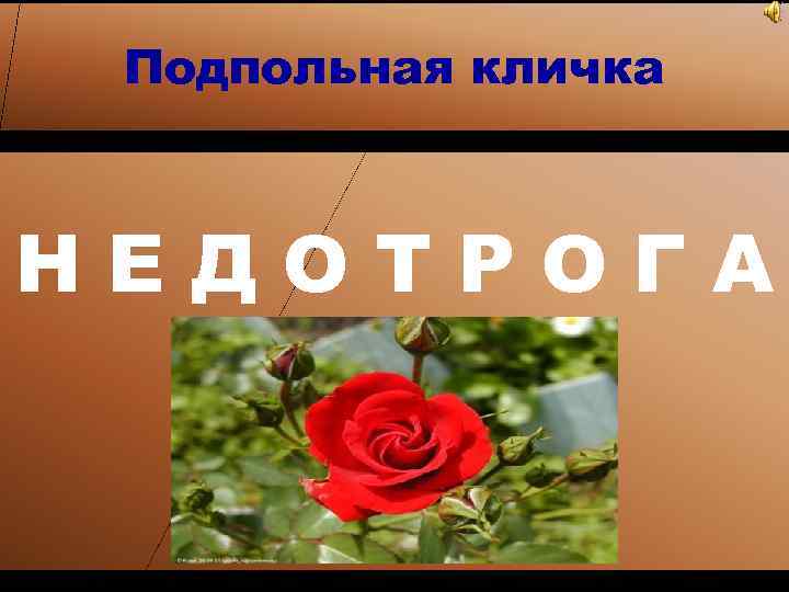 Подпольная кличка НЕДОТРОГА 