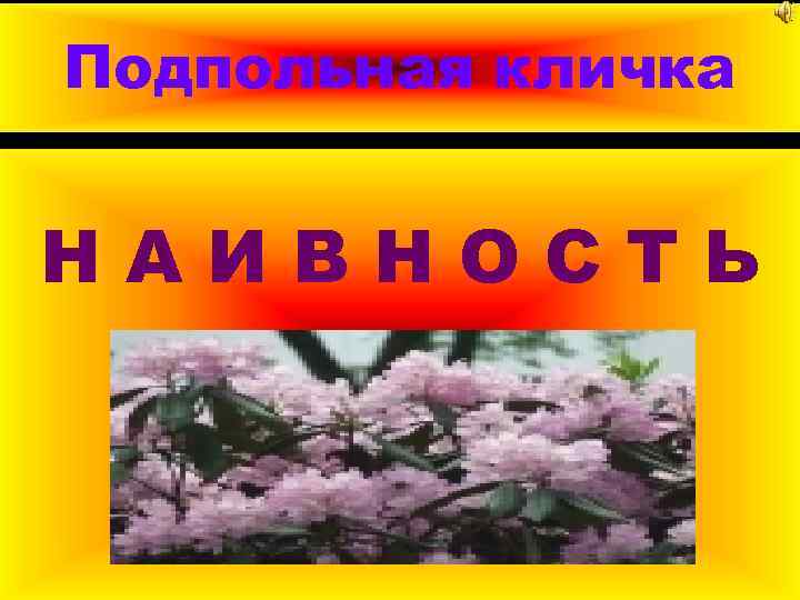 Подпольная кличка НАИВНОСТЬ 