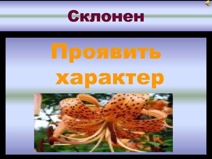 Склонен Проявить характер 