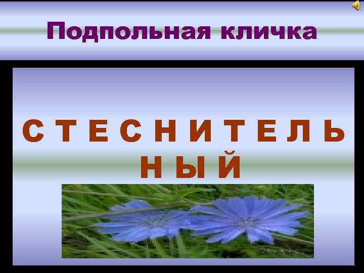 Подпольная кличка СТЕСНИТЕЛЬ НЫЙ 