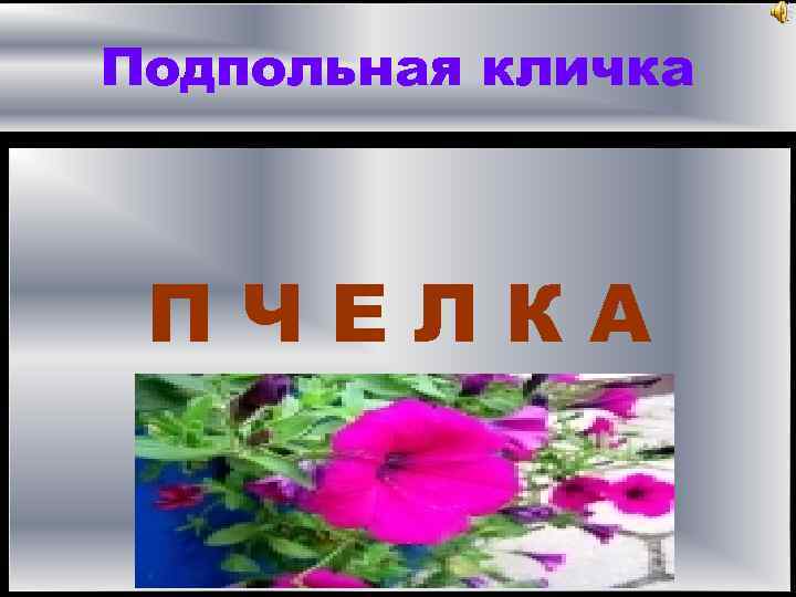 Подпольная кличка ПЧЕЛКА 