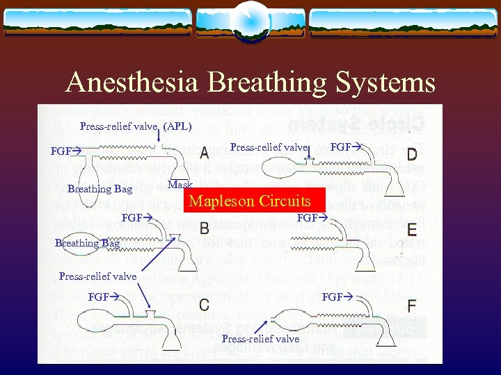 Anesthesia Breathing Systems Press-relief valve (APL) Press-relief valve FGF Breathing Bag FGF Mask Mapleson