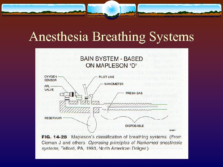 Anesthesia Breathing Systems 