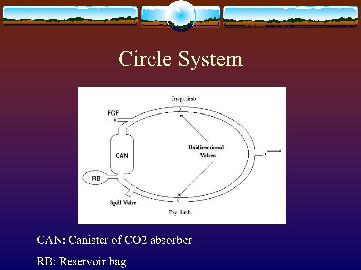 Circle System CAN: Canister of CO 2 absorber RB: Reservoir bag 