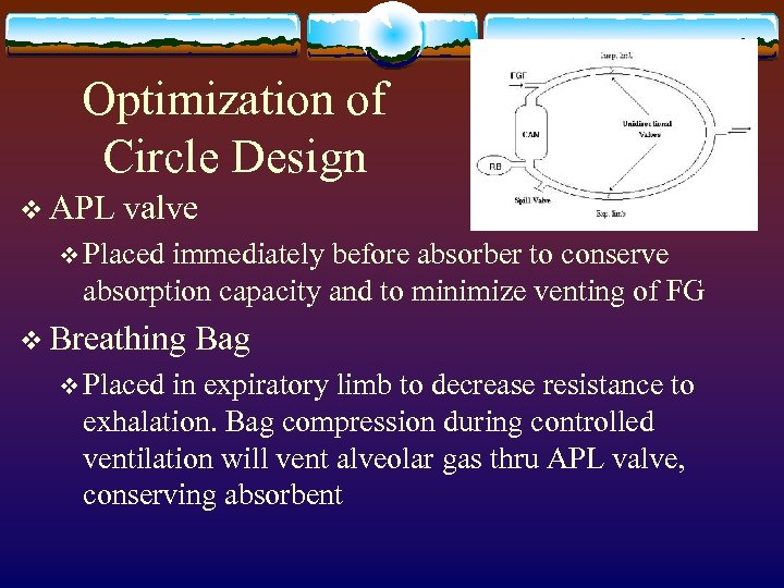 Optimization of Circle Design v APL valve v Placed immediately before absorber to conserve